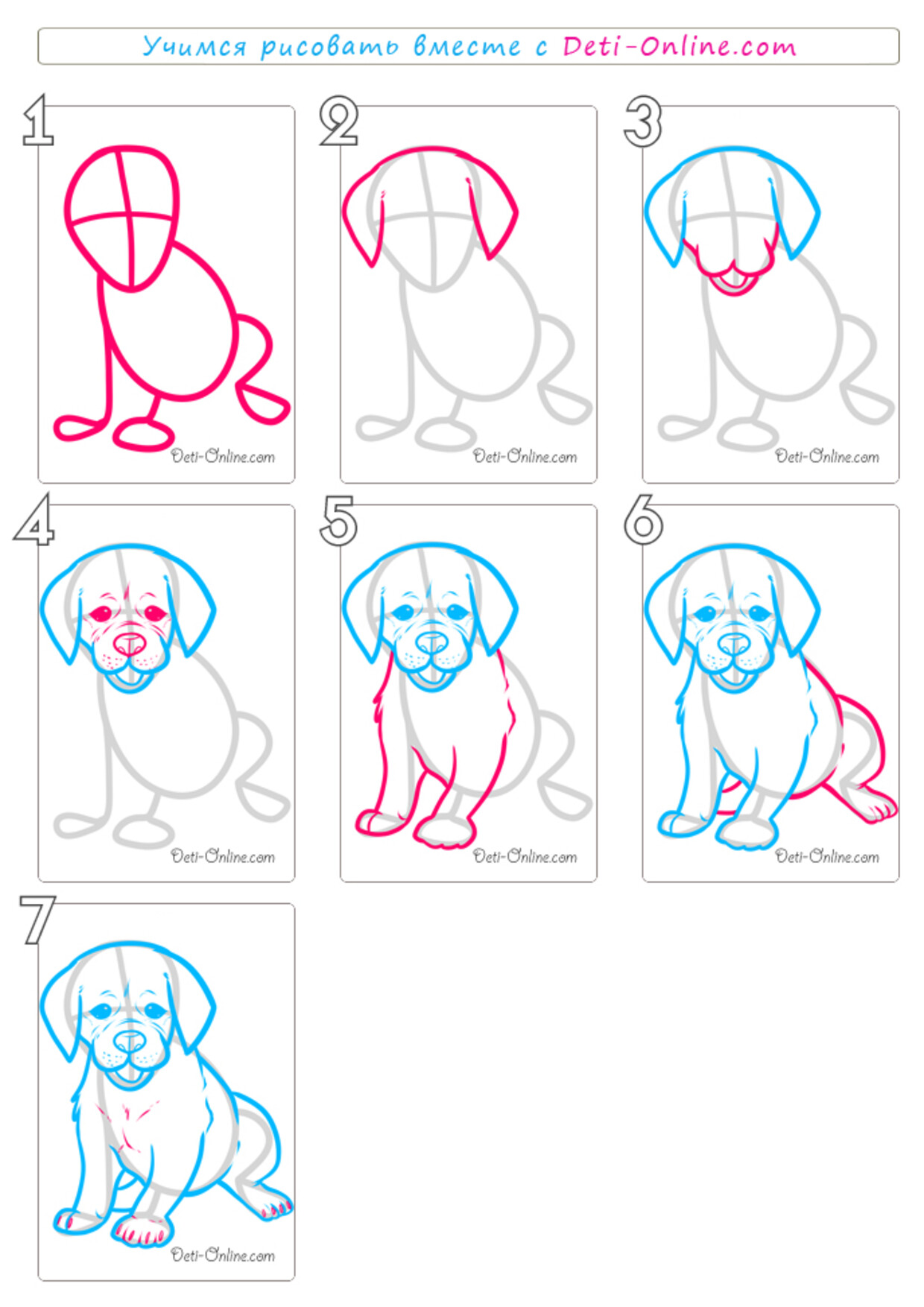 Покажи как поэтапно нарисовать. Как рисовать собаку. Рисунки для начинающих. Рисунок собаки легкий. Пошаговый рисунок собаки.