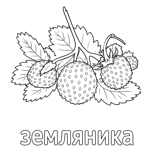 Раскраска Ягода земляника