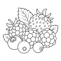 Раскраска Красивые ягоды