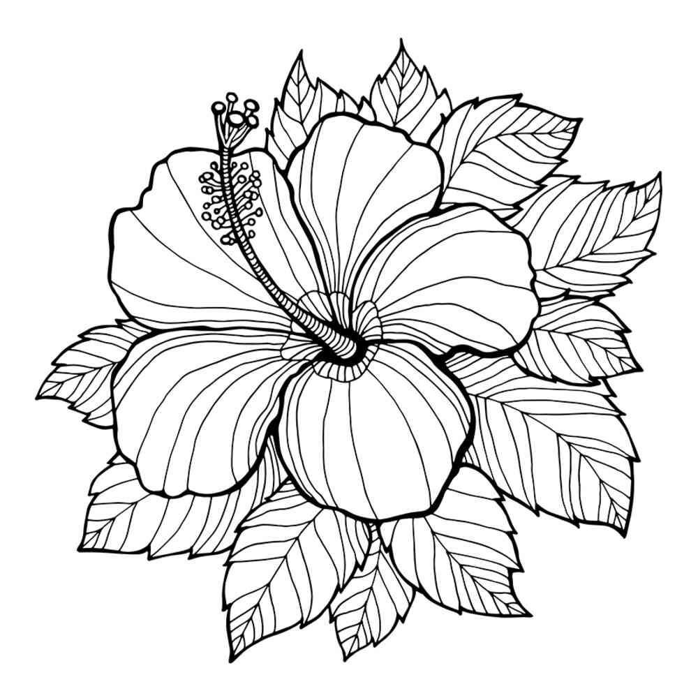 34 Best Ideas For Coloring Coloring Pages Summer Flow - vrogue.co