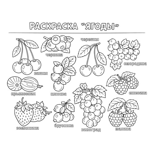 Раскраска Раскраска Ягоды