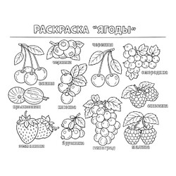 Раскраска Раскраска Ягоды