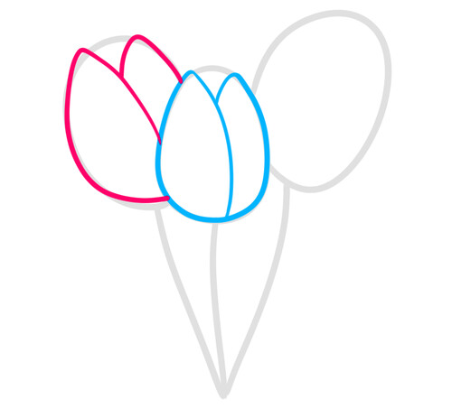 Как нарисовать весенние тюльпаны 3