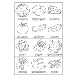 Овощное ассорти