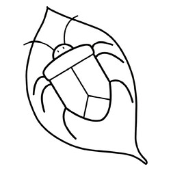 Раскраска Щитовидный клоп на листе