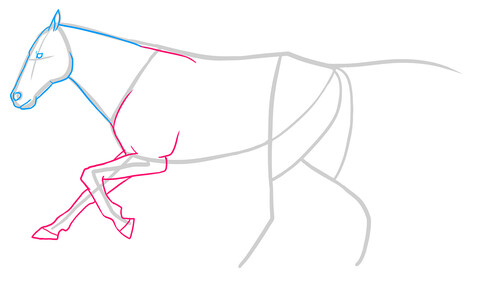 Как нарисовать лошадь 5