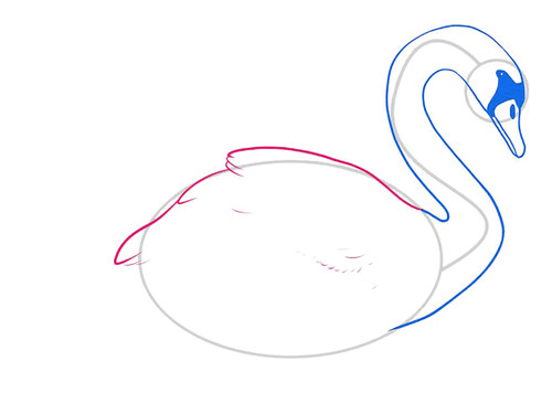 Как нарисовать лебедя 6
