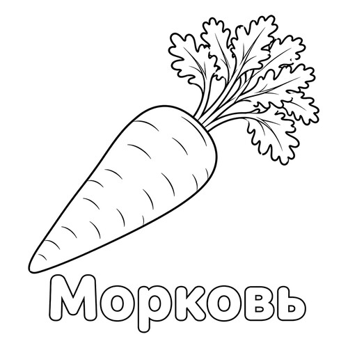 Раскраска Морковь