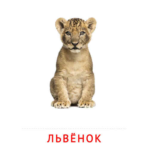 Карточки Домана на тему «Животные и их детеныши»