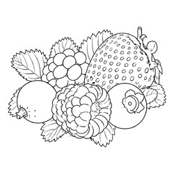 Любимые ягоды