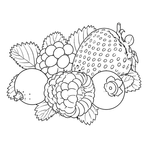 Раскраска Любимые ягоды