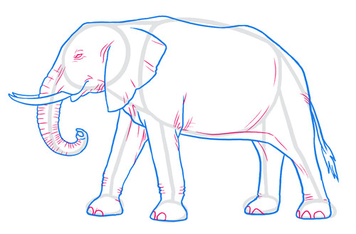 Как нарисовать слона 5
