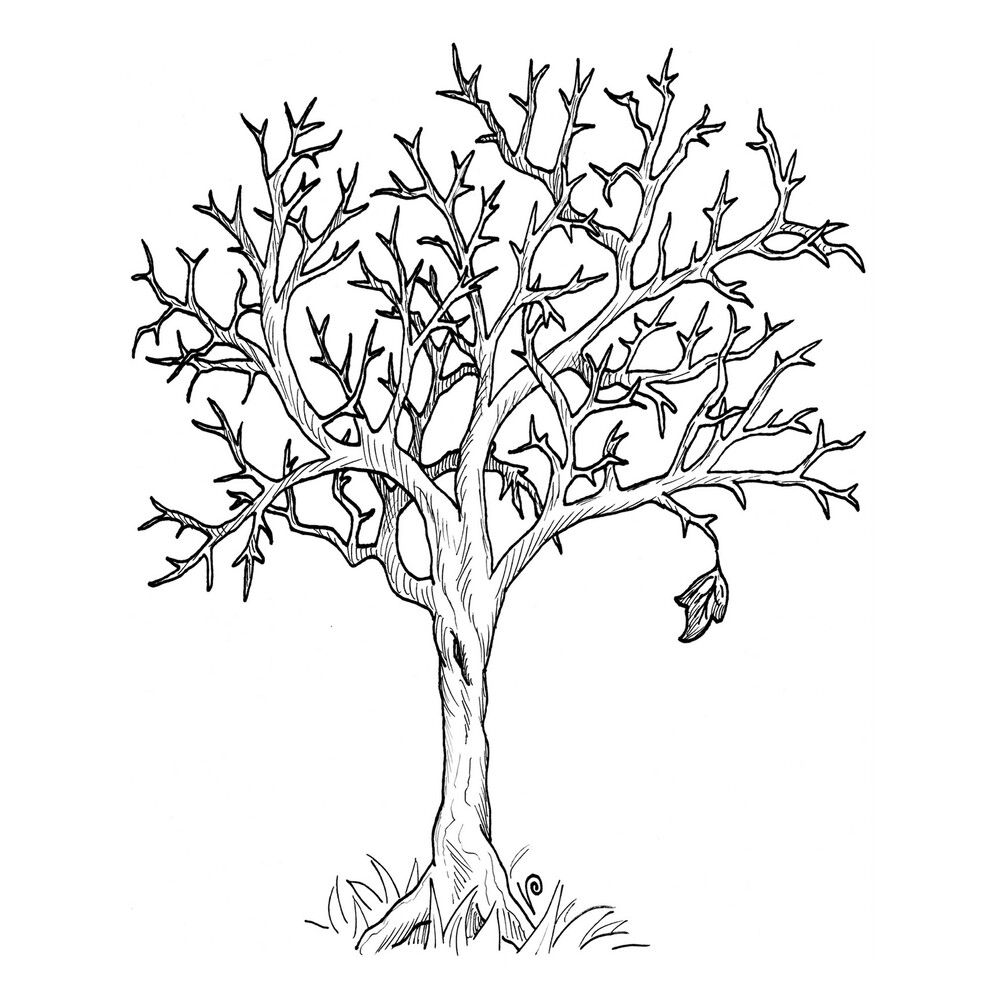 Дерево рисунок без листьев шаблон - 75 фото