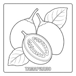 Раскраска Тамарилло