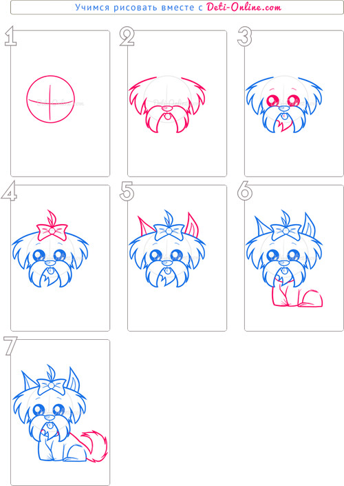 Как нарисовать собаку Ши-тцу