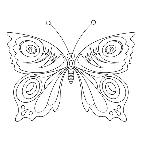 Раскраска Бабочка с изысканным узором крыльев