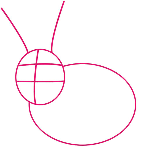 Как нарисовать зайца 1