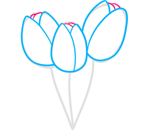 Как нарисовать весенние тюльпаны 5