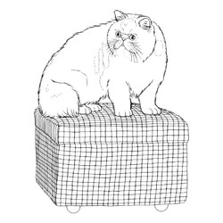 Раскраска Большой кот на пуфике