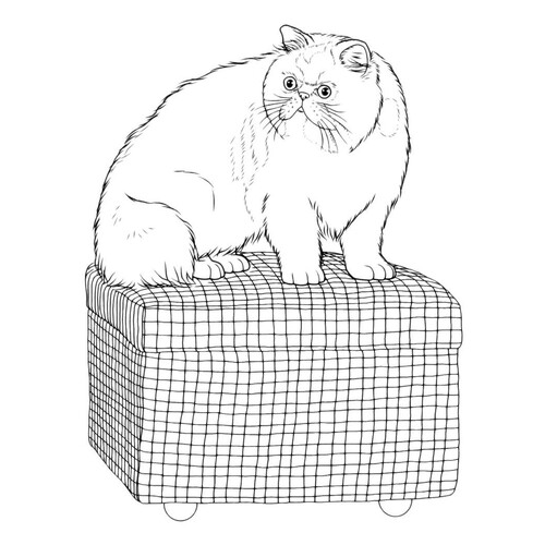 Раскраска Большой кот на пуфике