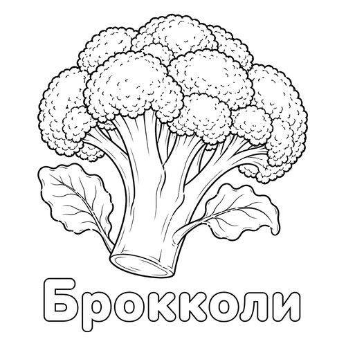 Раскраска Брокколи