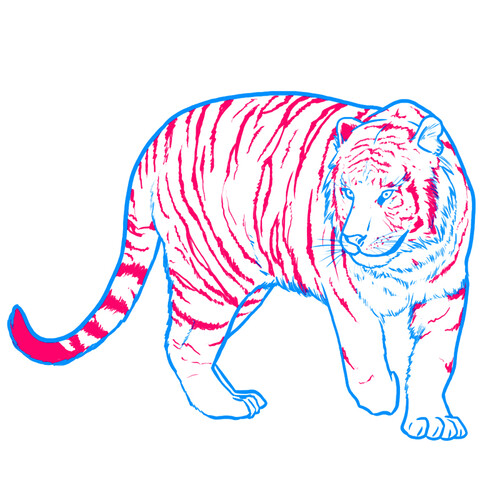 Как нарисовать тигра 6