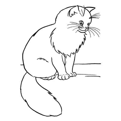 Раскраски кота, кошки, котят