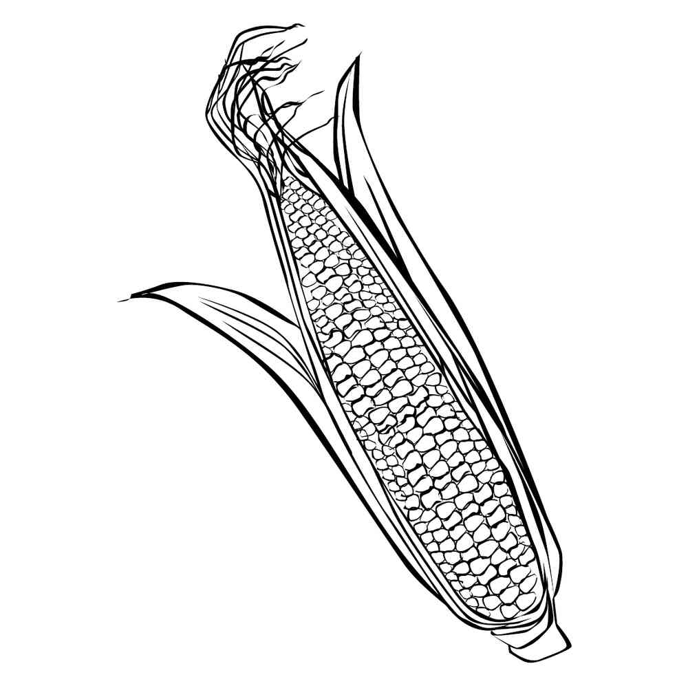 Кукуруза рисунок простой
