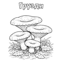Раскраска Грузди