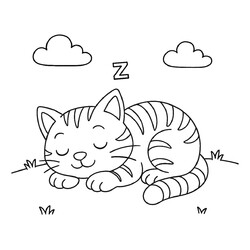 Котенок сладко спит