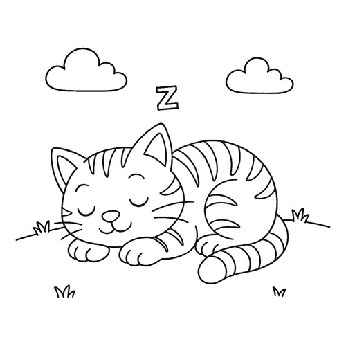 Раскраска Котенок сладко спит