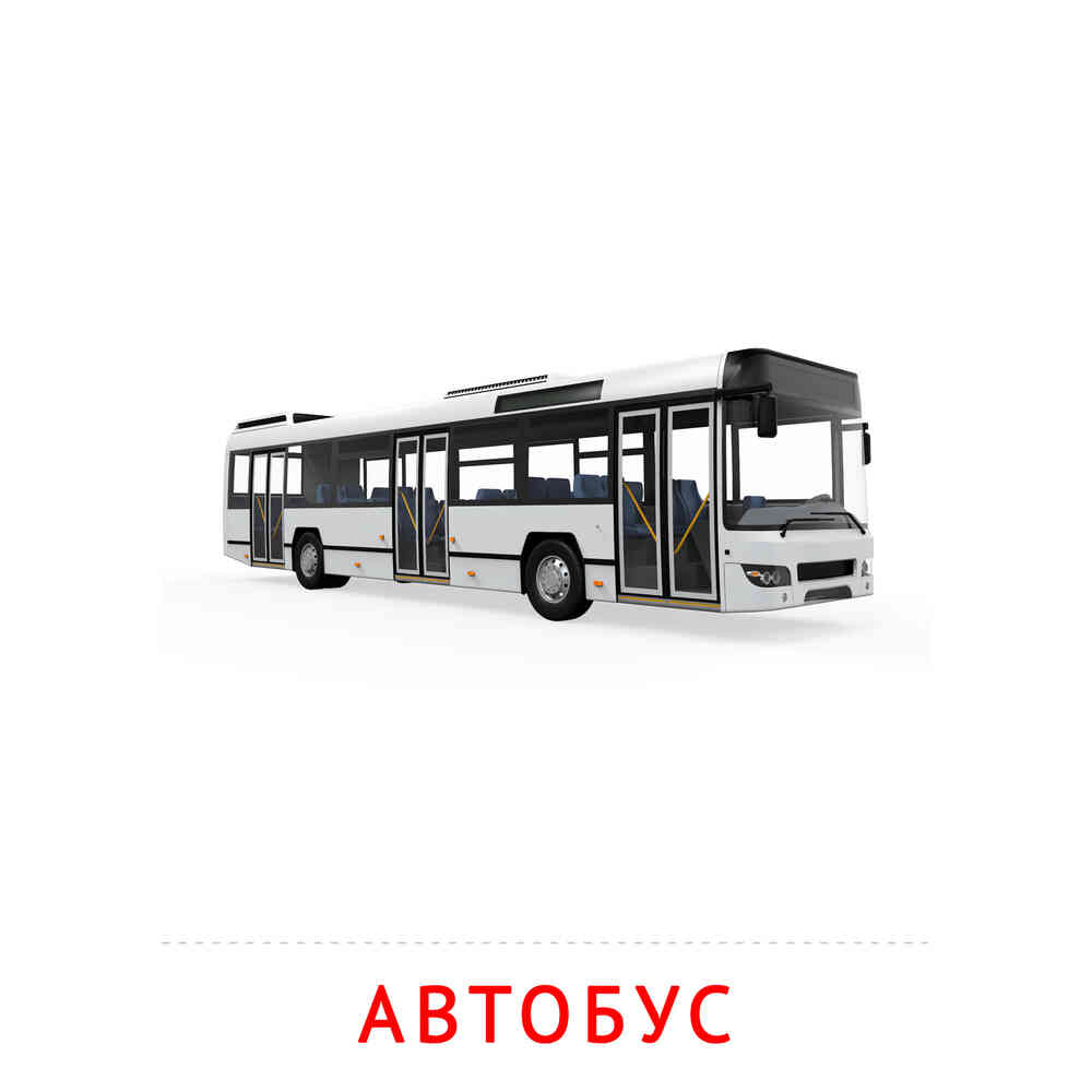 Автобус: карточка Домана | скачать или распечатать