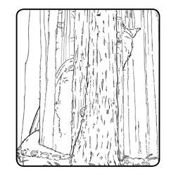 Раскраска Пит и Эллиот в лесу