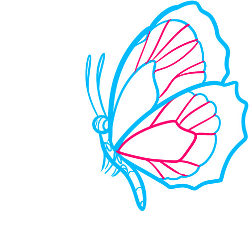 Как нарисовать бабочку на цветке 5