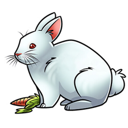 Кролик : раскраски для малышей