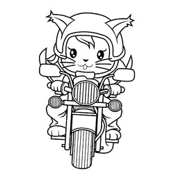 Кот на мотоцикле