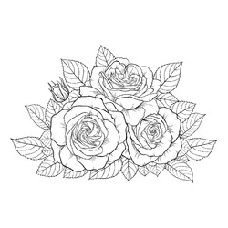 Раскраска Три розы