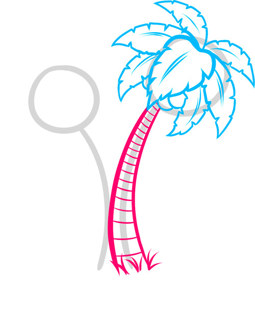 Как нарисовать пальмы 5