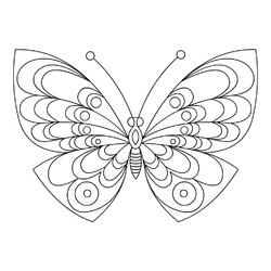 Раскраска Бабочка с изумительным рисунком
