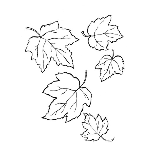 Раскраска Осенние листья