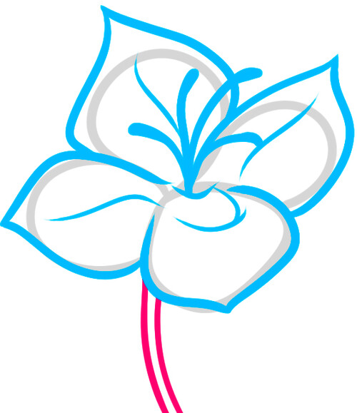 Как нарисовать цветок дафны 5