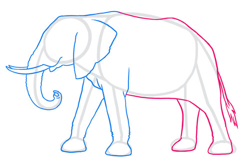 Как нарисовать слона 4