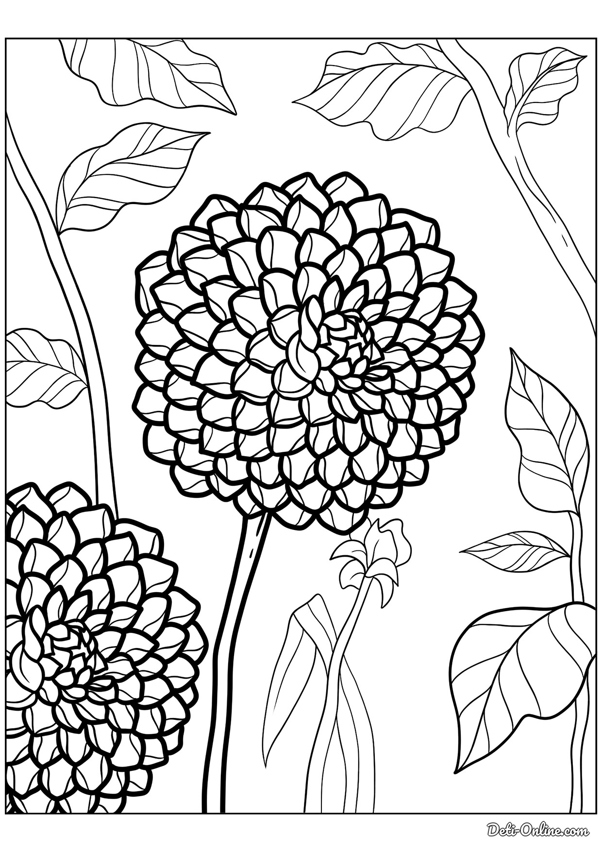 Раскраска Цветок георгина | распечатать раскраски для детей