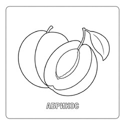 Раскраска Абрикос