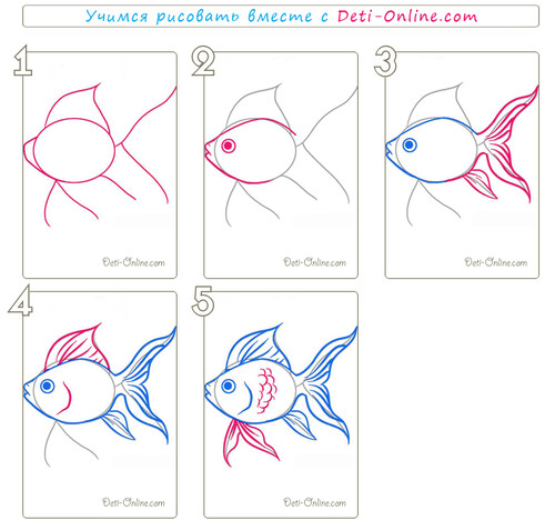 Как нарисовать золотую рыбку