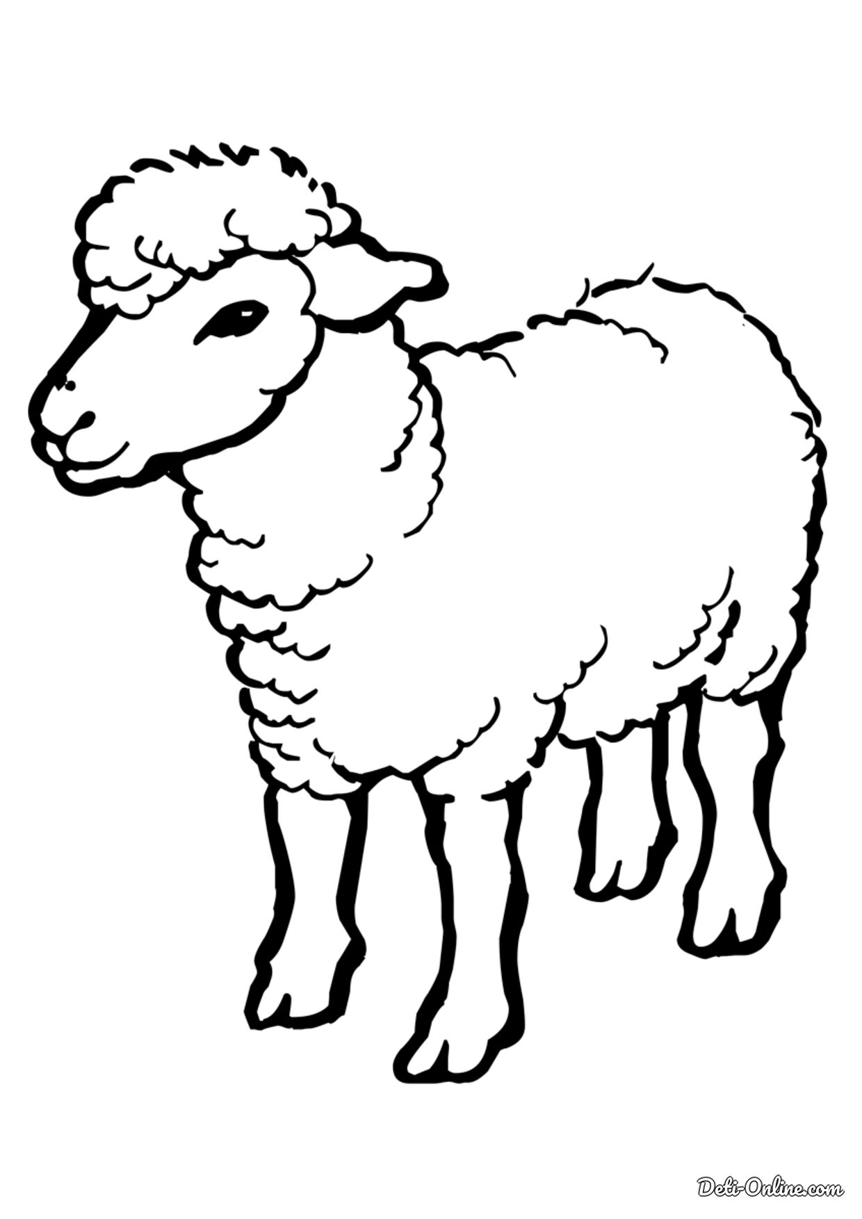 Страница раскраски для детей Большие рогатые овцы