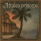 Attalea princeps