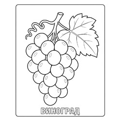 Раскраска Гроздь винограда