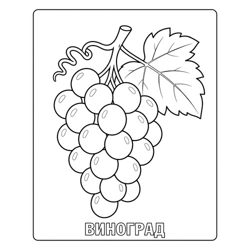 Раскраска Гроздь винограда