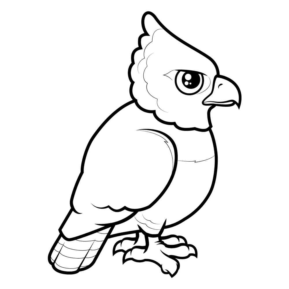 Картинки попугая для срисовки